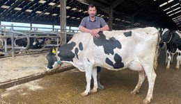 When big is not beautiful